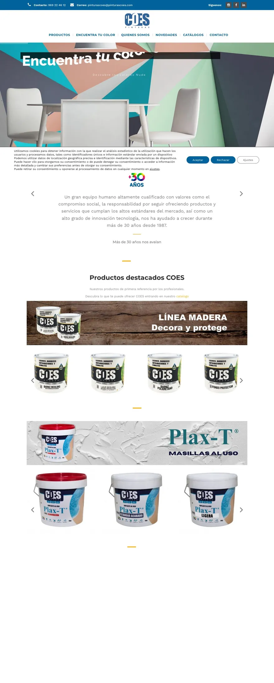 Web de Pinturas COES
